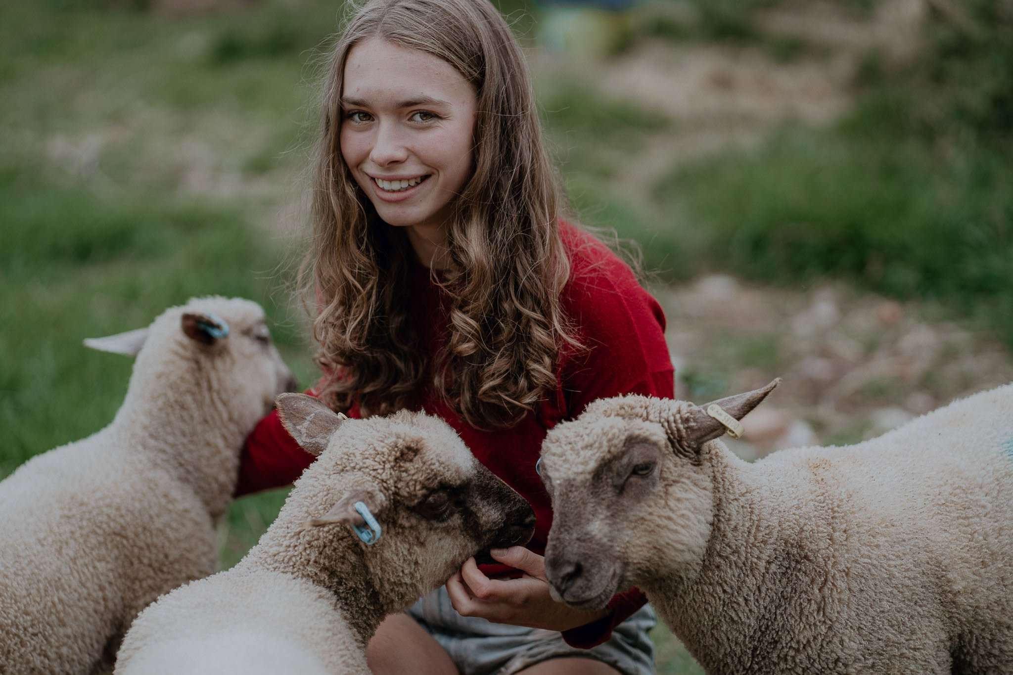 Cuddling lambs at Rock Farm Wedding Venue